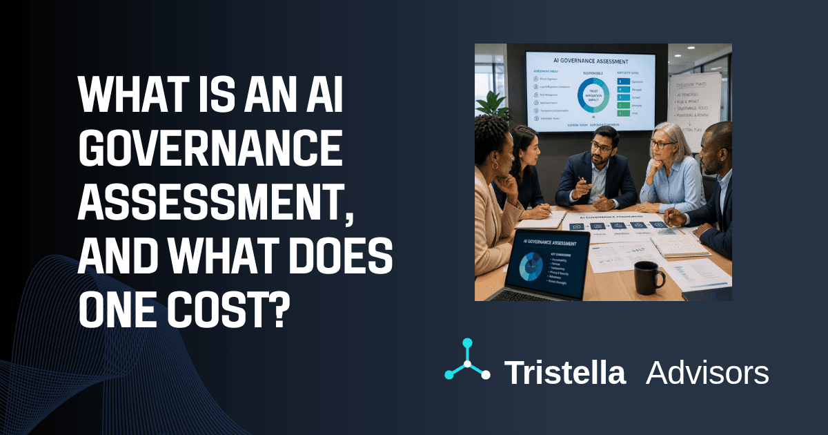 What Is an AI Governance Assessment and What Does One Cost?